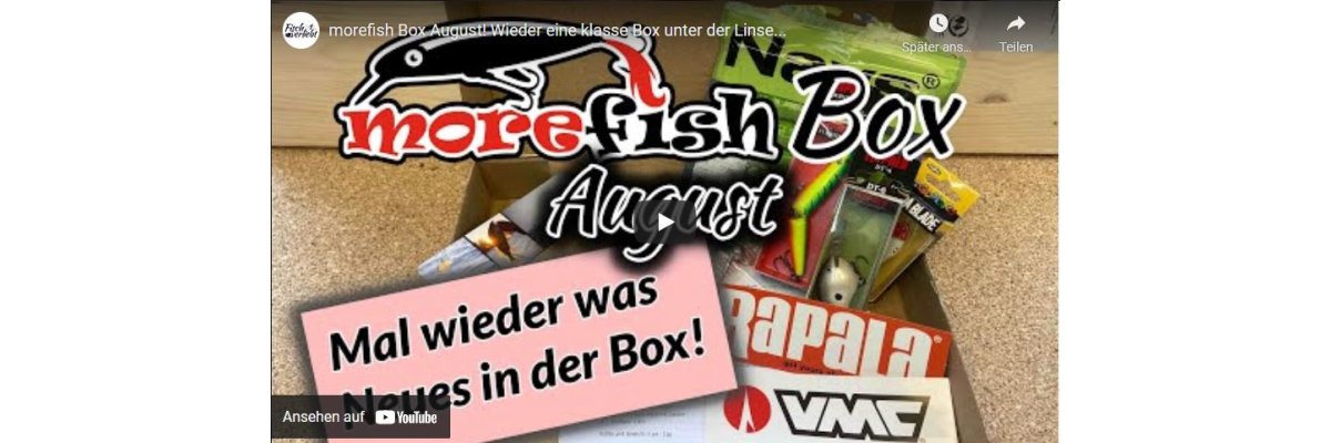 morefish-Box August 2021 - 