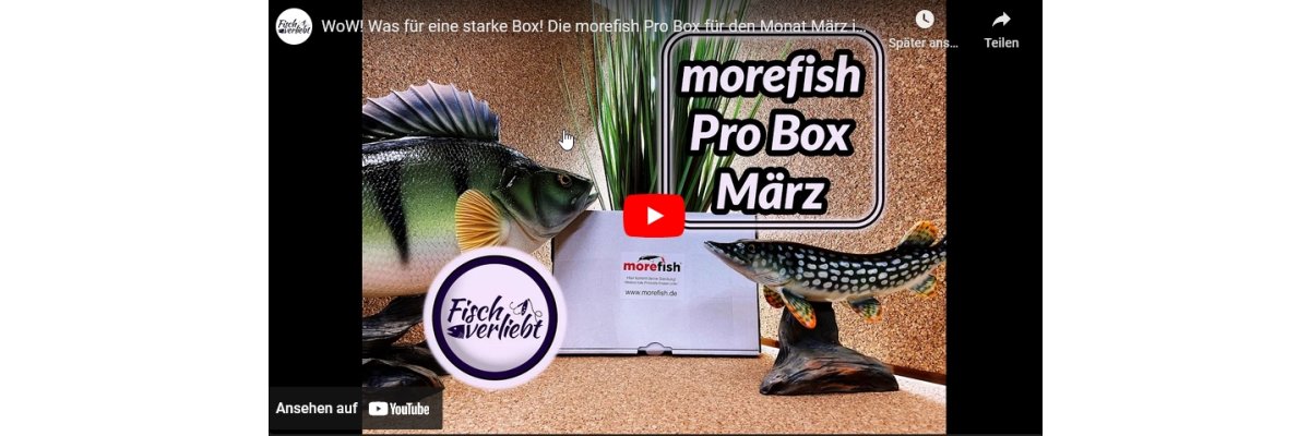 Neu ab März 2023 - die morefish-ProBox!  - 