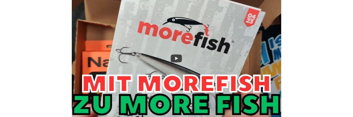 PREMIERE - Eyecident und die morefish-ProBox - 