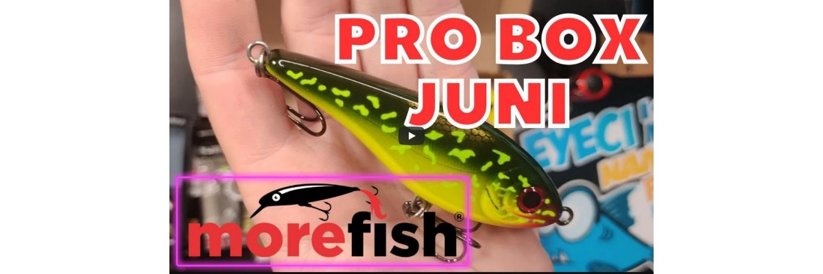 Die morefish-Probox Juni 2023 - für Raubfisch alles dabei! - 