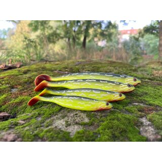 Westin ShadTeez Slim - Custom Color - Poison Pike - 10 - 22cm - Limited Edition -