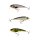 Westin RawBite - Crankbait - 17cm - Sonderfarben -