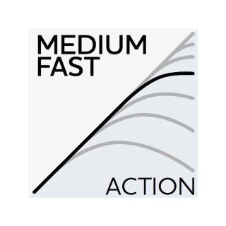 Westin W3 Spin 3nd - alle Modelle -