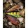 Westin Swim - 3D Magic - Limited Edition - 12cm - sinking -
