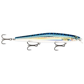 SBML - Silver Blue Mackerel Live