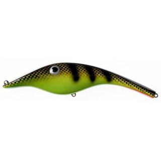 14 - Yellow Perch