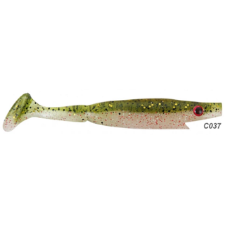 C037 - Reed Roach