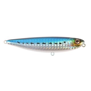 694-713 - Sardine