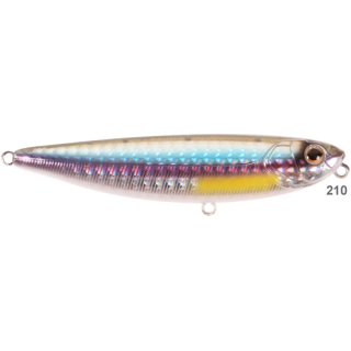 A210 - Rainbow Shad