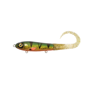 Golden Perch