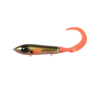C12 - Black Eyed Shiner