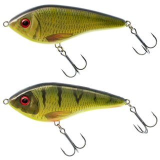 TC Roach - Perch