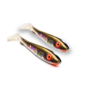 Flash - Golden Bream