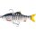 Westin Ricky the Roach Multi Jointed R2F - 14cm - 41gr - alle Farben -
