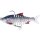 Westin Ricky the Roach Multi Jointed R2F - 18cm - 83gr - alle Farben -