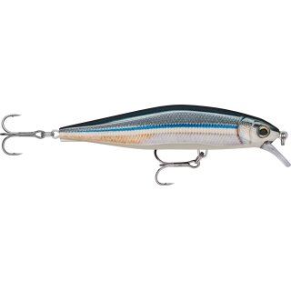 ANC - Anchovy