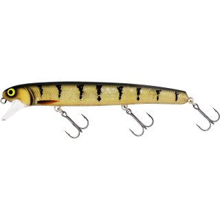 3D Amber Perch