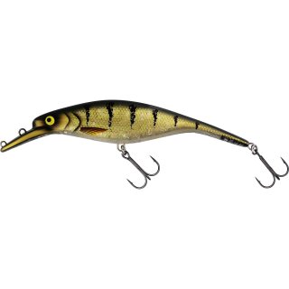 3D Amber Perch