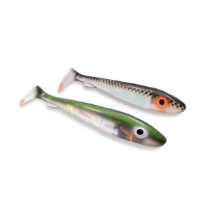 UV - Black Back & Rügen Herring Flash