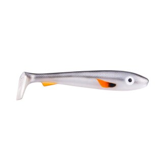 C35 - Black Shad