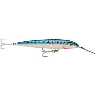 SM - Silver Mackerel