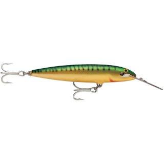 GM - Green Mackerel