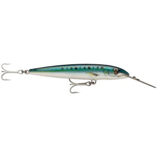 SRD - Sardine