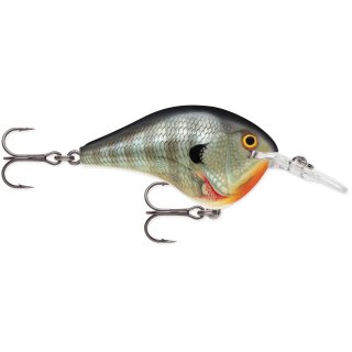BG - Bluegill
