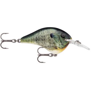 BGL - Live Bluegill