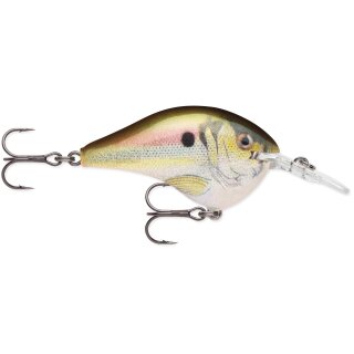 RSL - Live River Shad