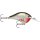 Rapala Wobbler DT-6 Dives-To DT06 - alle Farben -