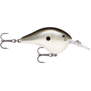 PGS - Pearl Grey Shiner