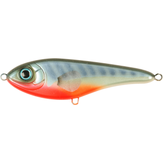 C605F - Stickleback