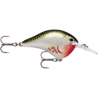 BOS - Bleeding Olive Shiner