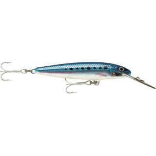 BSRD - Blue Sardine