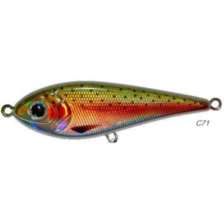 071 / Rainbow Trout