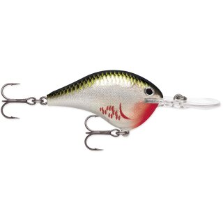 BOS - Bleeding Olive Shiner