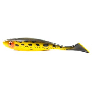 16 - Anaconda