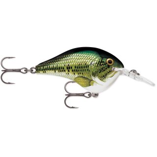 BB - Baby Bass