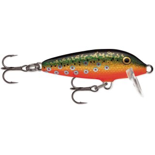 BTR - Brook Trout