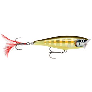 STGS - Striped GreyShiner
