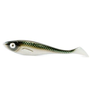 47 - Green Whitefish