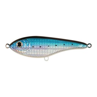 C539 - Blue Sardine