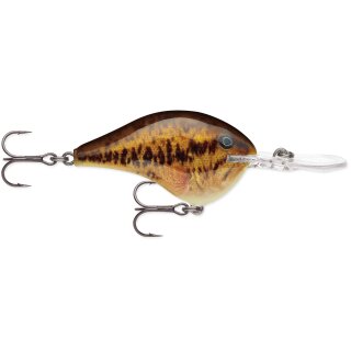 SBL - Live Smallmouth Bass