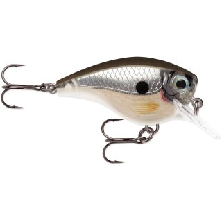 PGS - Pearl Grey Shiner