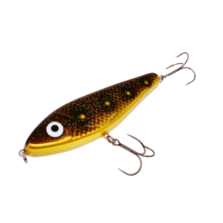 Spotted Bullhead