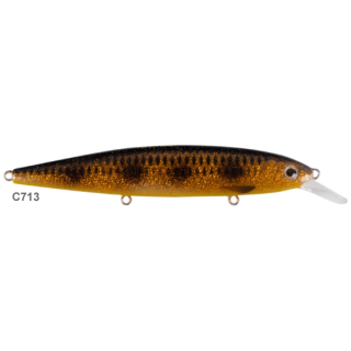 Spotted Bullhead