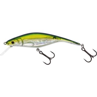 Olive Minnow