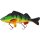 Westin Percy the Perch - Hybrid - 20cm - low floating - alle Farben -