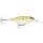 GDYP - Gilded Yellow Perch